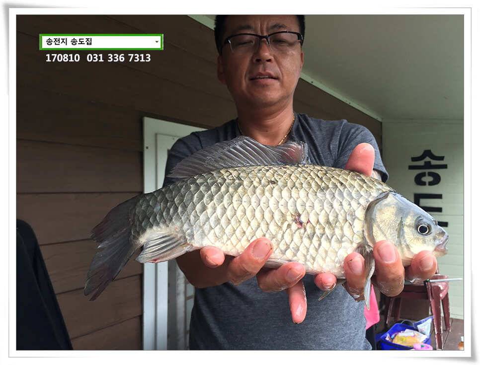 서늘해진 일기송전지 송도집 조황 (유료터정보 - 유료터점주조황)