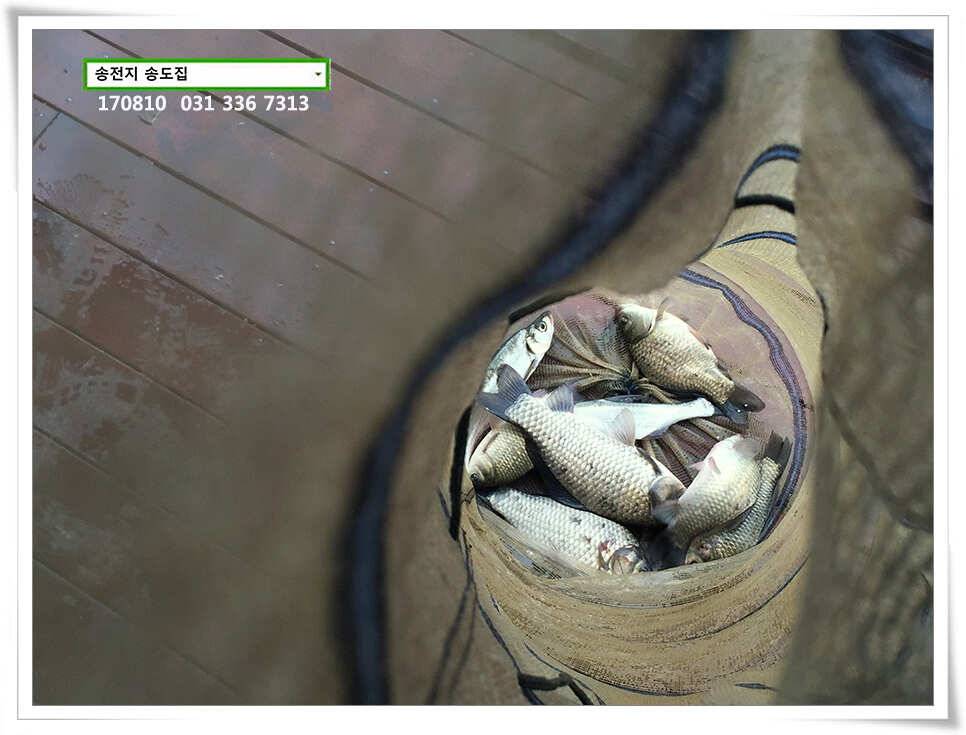 서늘해진 일기송전지 송도집 조황 (유료터정보 - 유료터점주조황)