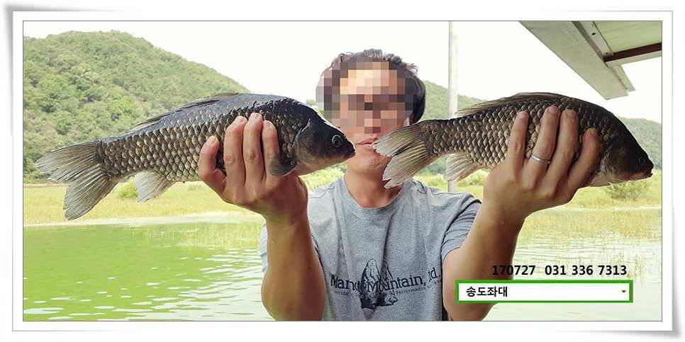 변수에 월척 마릿수 송전지 송도집 좌대 조황 (유료터정보 - 유료터점주조황)