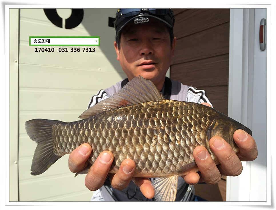 동풍 따위 송전지 송도집 좌대 조황 (유료터정보 - 유료터점주조황)