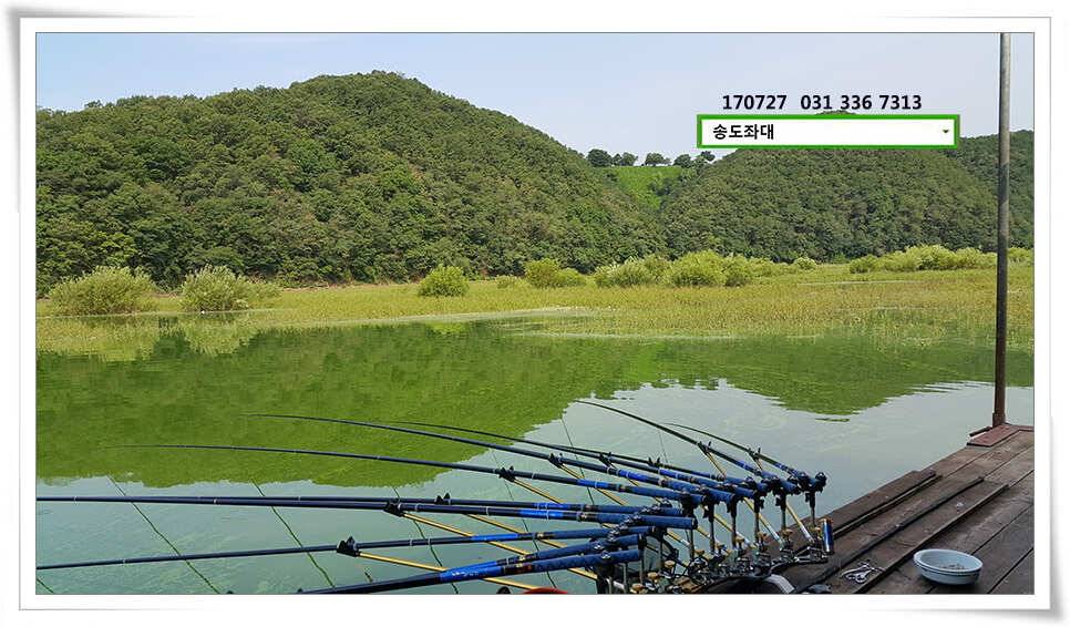 변수에 월척 마릿수 송전지 송도집 좌대 조황 (유료터정보 - 유료터점주조황)