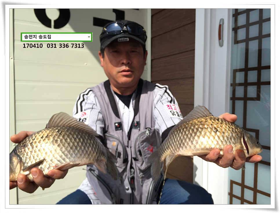 동풍 따위 송전지 송도집 좌대 조황 (유료터정보 - 유료터점주조황)