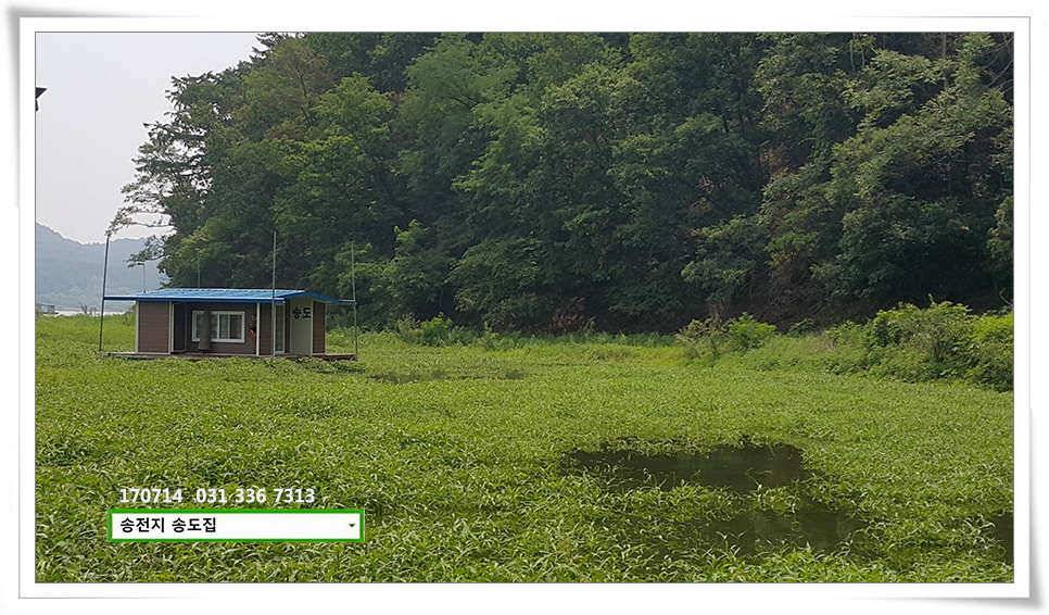 안정된 오름세송전지 송도집 좌대 조황 (유료터정보 - 유료터점주조황)
