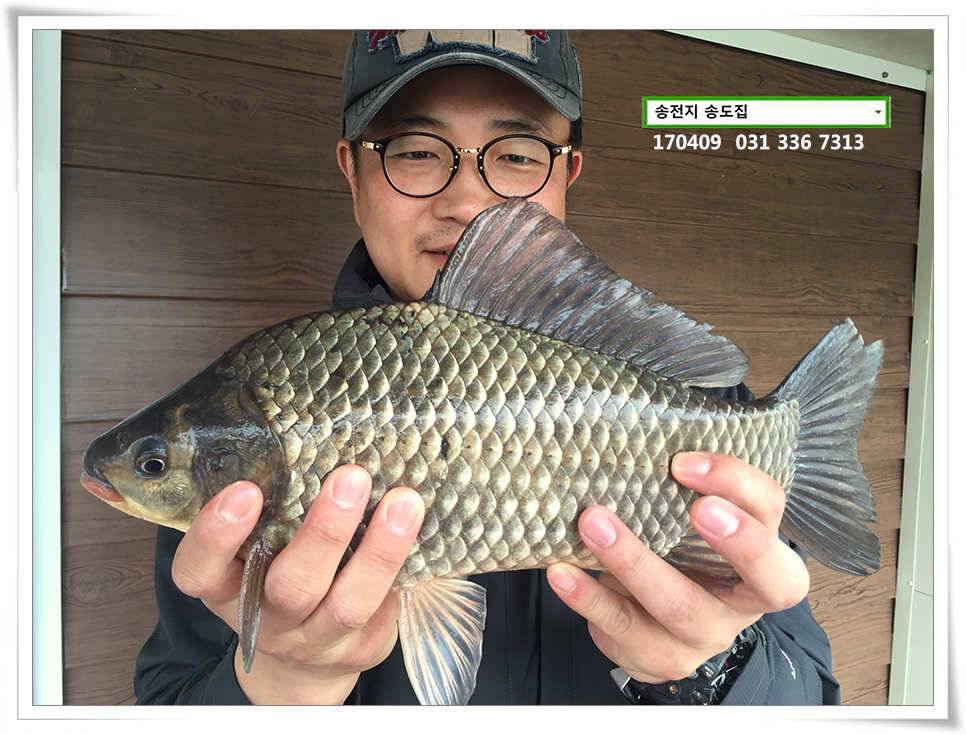 동풍 따위 송전지 송도집 좌대 조황 (유료터정보 - 유료터점주조황)
