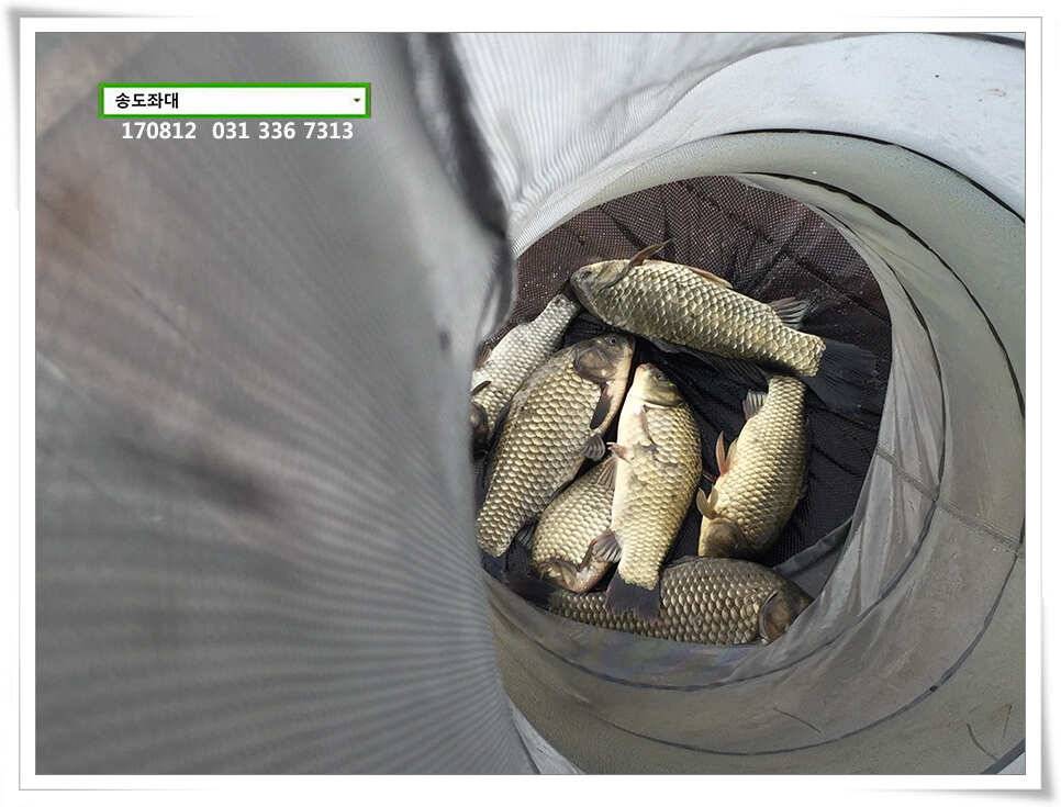 아침에 허리급송전지 송도집 좌대 조항 (유료터정보 - 유료터점주조황)