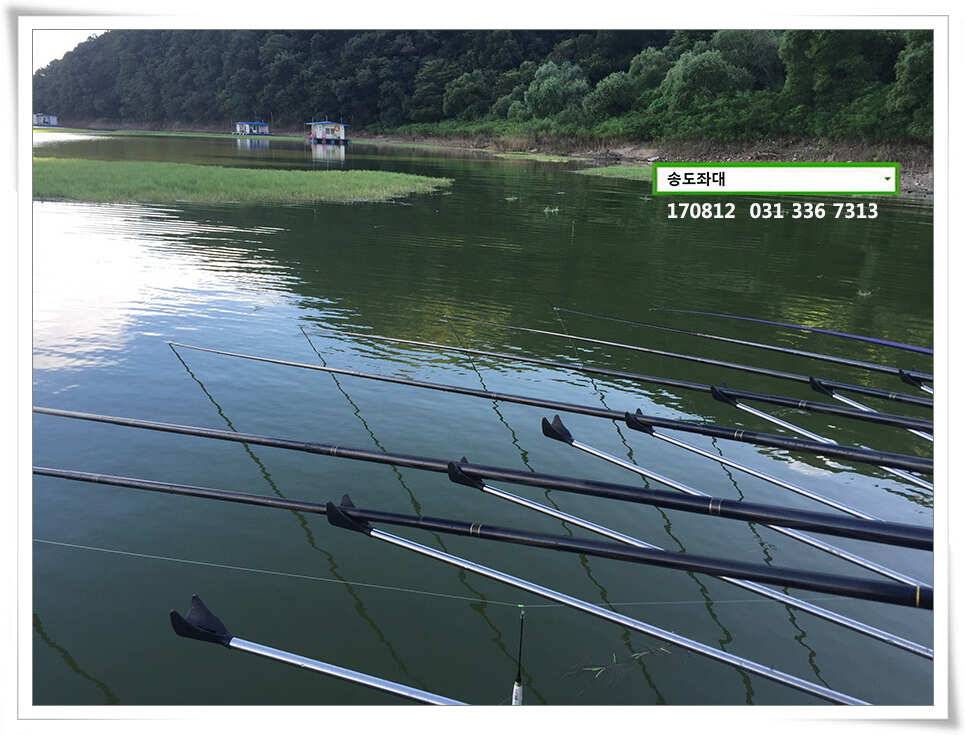아침에 허리급송전지 송도집 좌대 조항 (유료터정보 - 유료터점주조황)