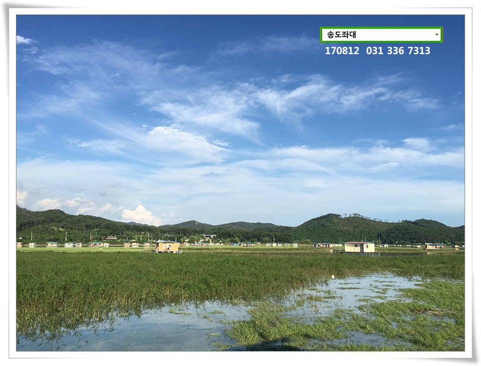 아침에 허리급송전지 송도집 좌대 조항 (유료터정보 - 유료터점주조황)
