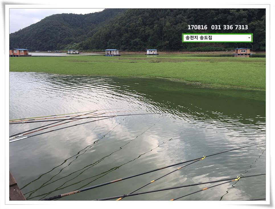 송전지 송도집 좌대 조황 (유료터정보 - 유료터점주조황)