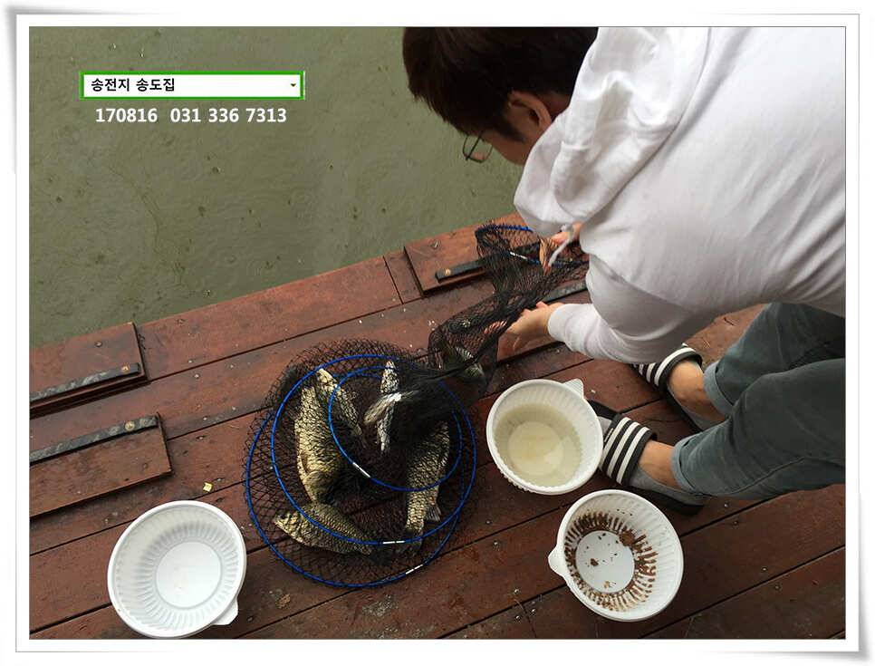 송전지 송도집 좌대 조황 (유료터정보 - 유료터점주조황)