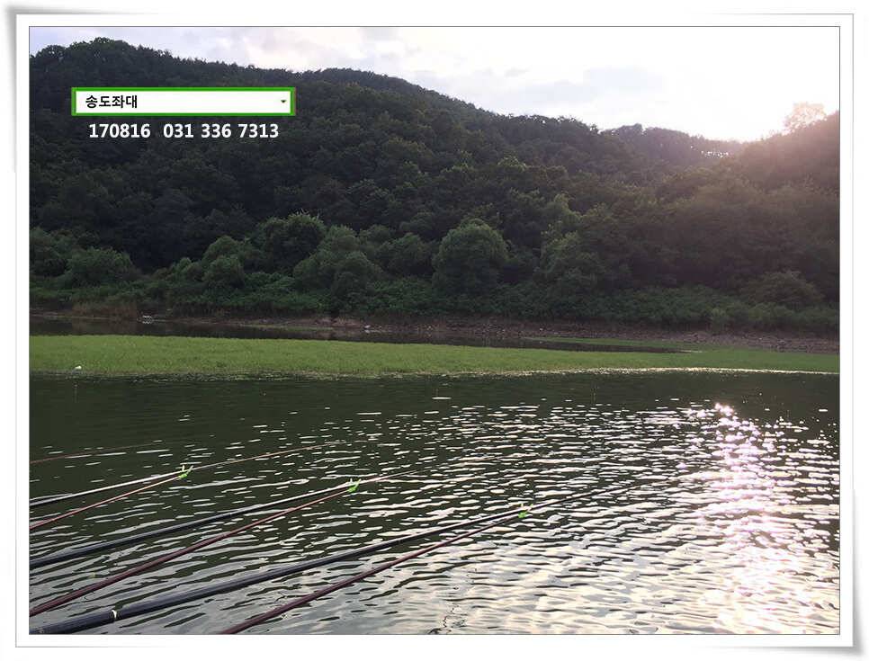 송전지 송도집 좌대 조황 (유료터정보 - 유료터점주조황)