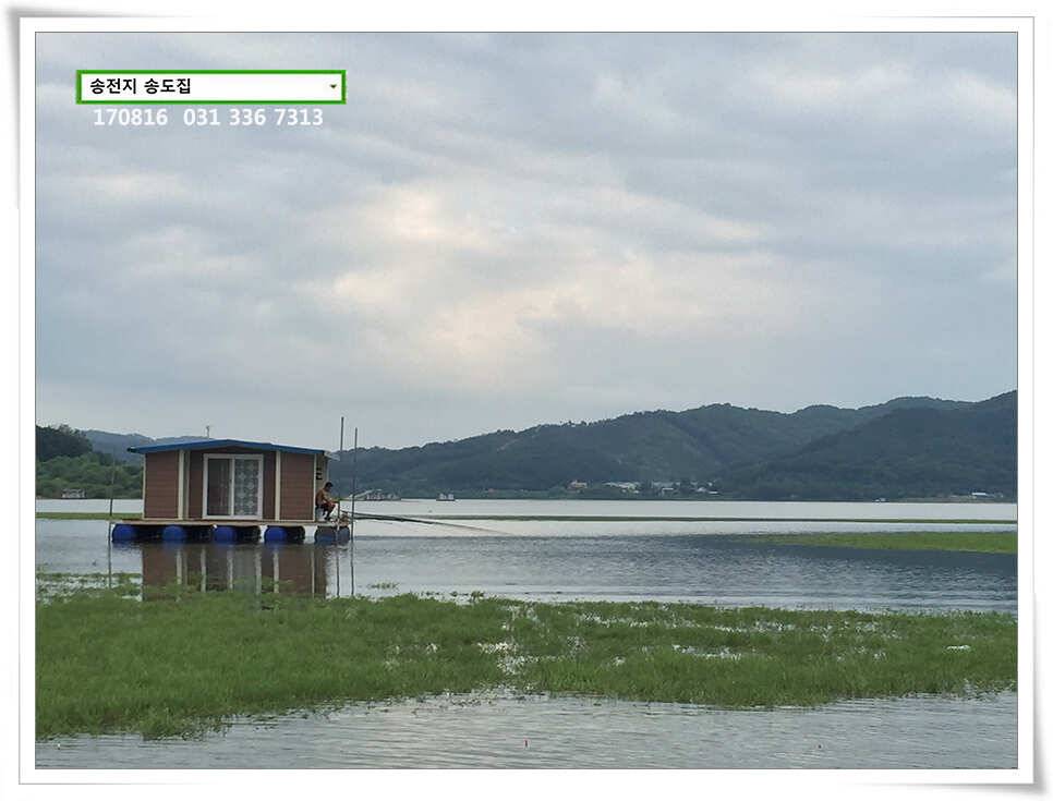송전지 송도집 좌대 조황 (유료터정보 - 유료터점주조황)
