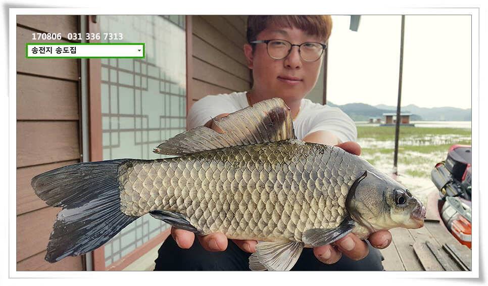 송전지 송도 좌대 조황 (유료터정보 - 유료터점주조황)