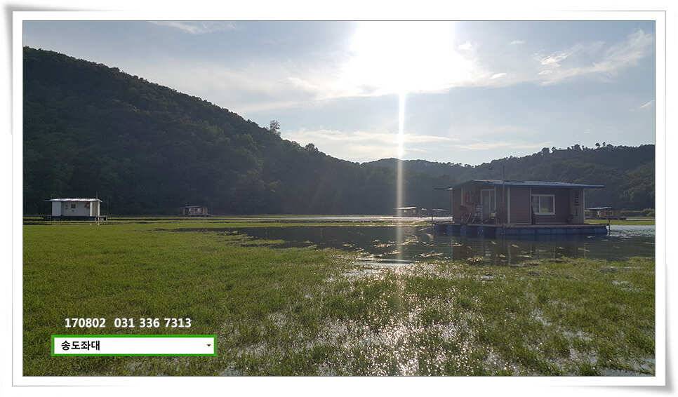 송전지 송도 좌대 조황 (유료터정보 - 유료터점주조황)