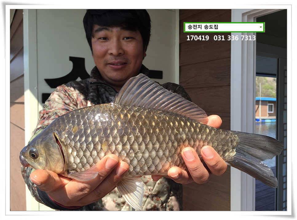 송전지 송도 좌대 조황 (유료터정보 - 유료터점주조황)