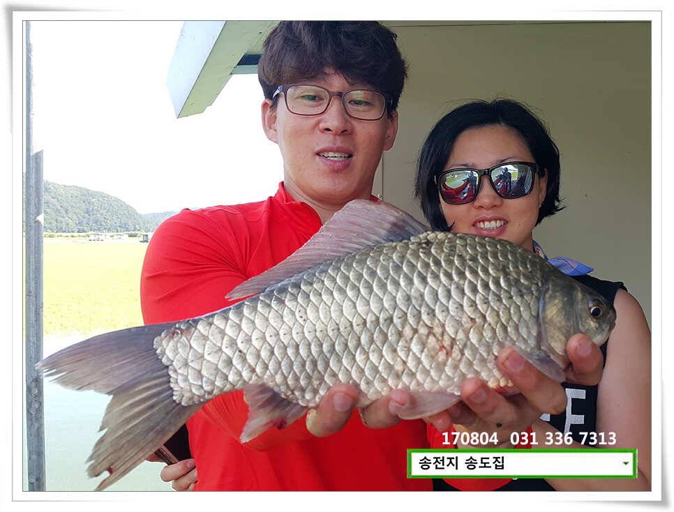 명확해진 패턴송전지 송도집 좌대 조황 (유료터정보 - 유료터점주조황)