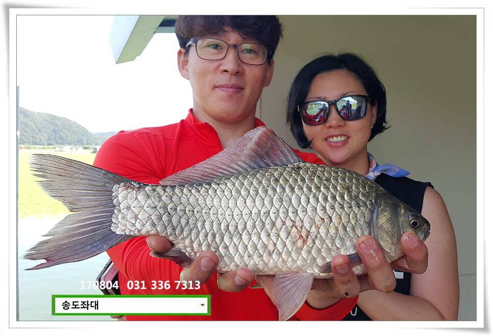 명확해진 패턴송전지 송도집 좌대 조황 (유료터정보 - 유료터점주조황)