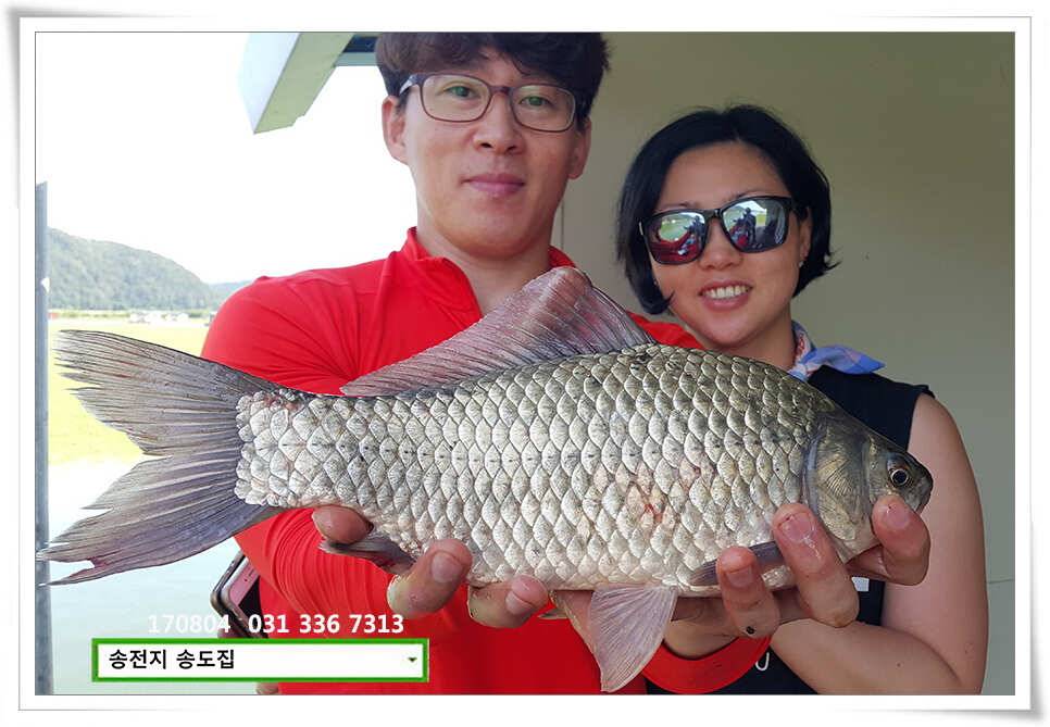 명확해진 패턴송전지 송도집 좌대 조황 (유료터정보 - 유료터점주조황)