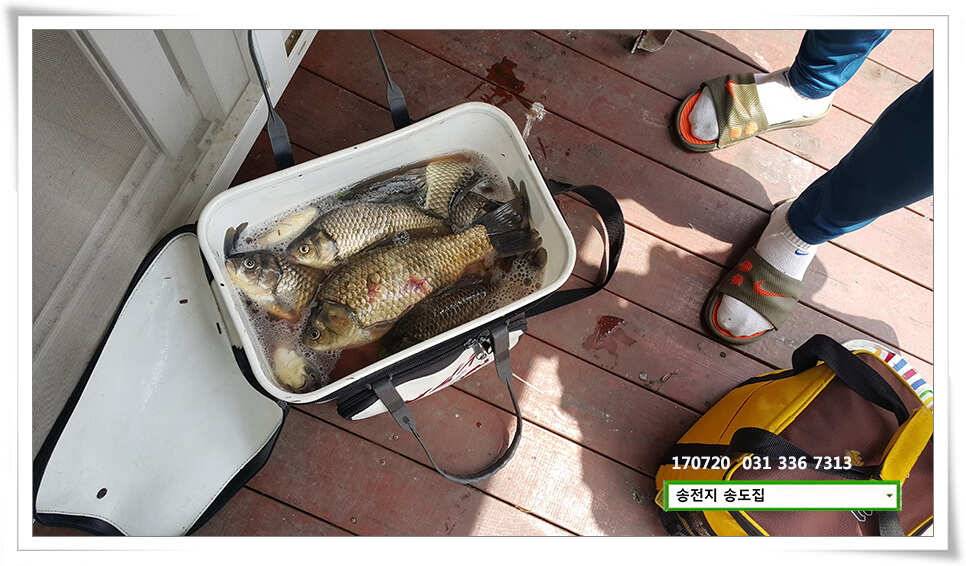 연이은 허리급송전지 송도좌대 조황 (유료터정보 - 유료터점주조황)