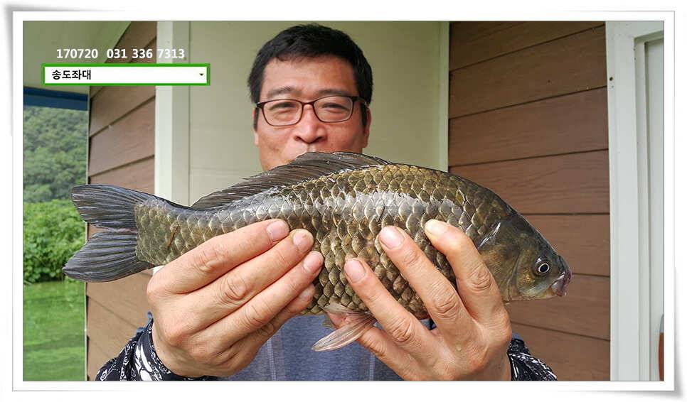 연이은 허리급송전지 송도좌대 조황 (유료터정보 - 유료터점주조황)