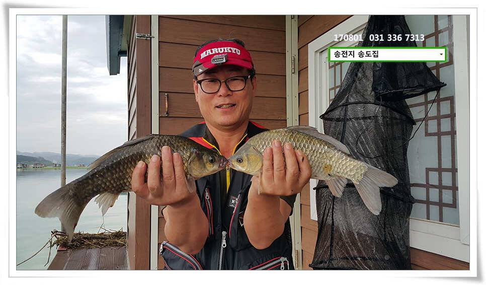 붕어는 오름을 타고송전지 송도집 좌대 조황 (유료터정보 - 유료터점주조황)