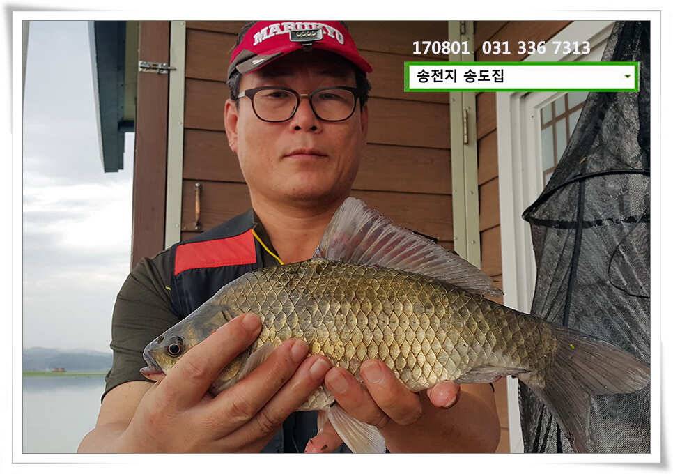 붕어는 오름을 타고송전지 송도집 좌대 조황 (유료터정보 - 유료터점주조황)