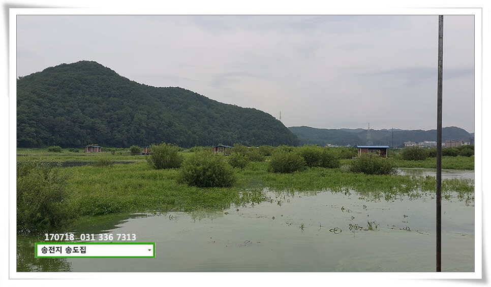 이어진 덩어리 송전지 송도좌대 조황 (유료터정보 - 유료터점주조황)