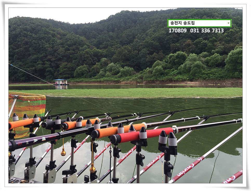 송전지 송도집 좌대 조황 (유료터정보 - 유료터점주조황)