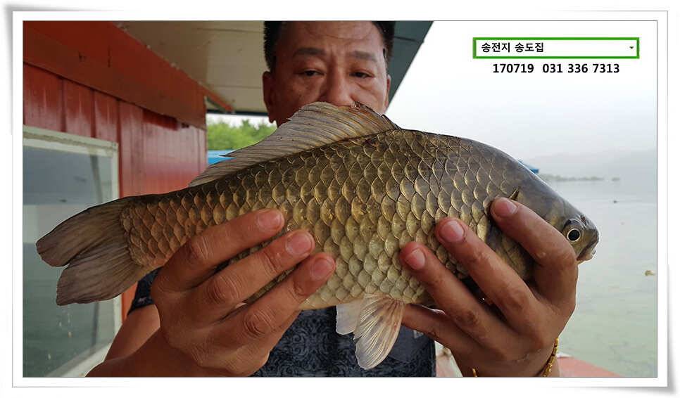 조왕ㅋ굳ㅋ송전지 송도좌대 조황 (유료터정보 - 유료터점주조황)