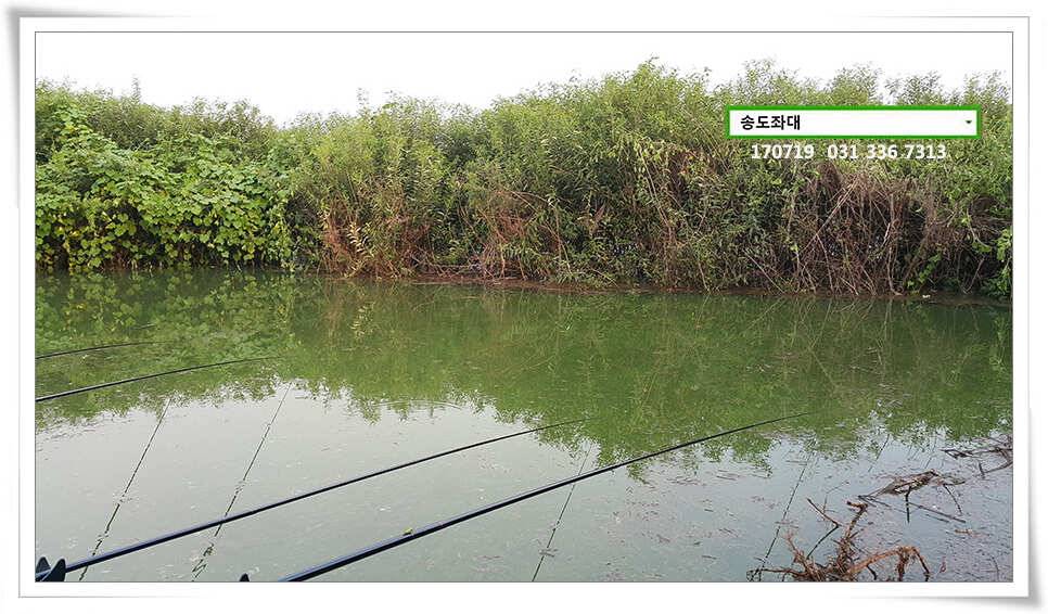 조왕ㅋ굳ㅋ송전지 송도좌대 조황 (유료터정보 - 유료터점주조황)