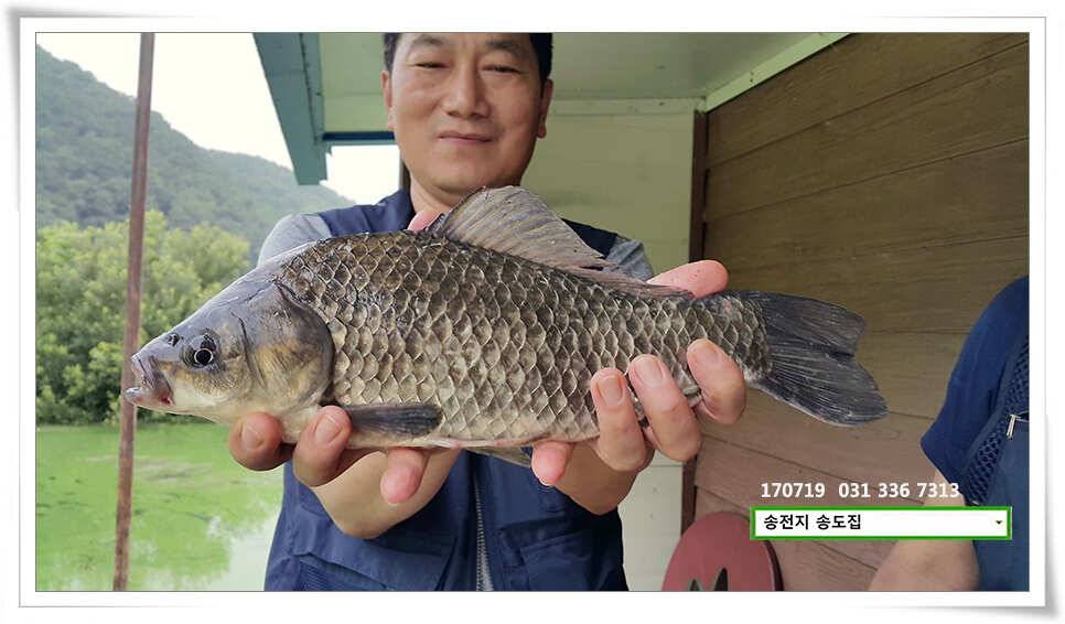 조왕ㅋ굳ㅋ송전지 송도좌대 조황 (유료터정보 - 유료터점주조황)