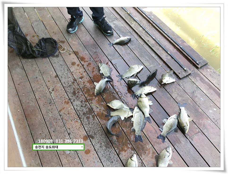 가을걷이 (유료터정보 - 유료터점주조황)