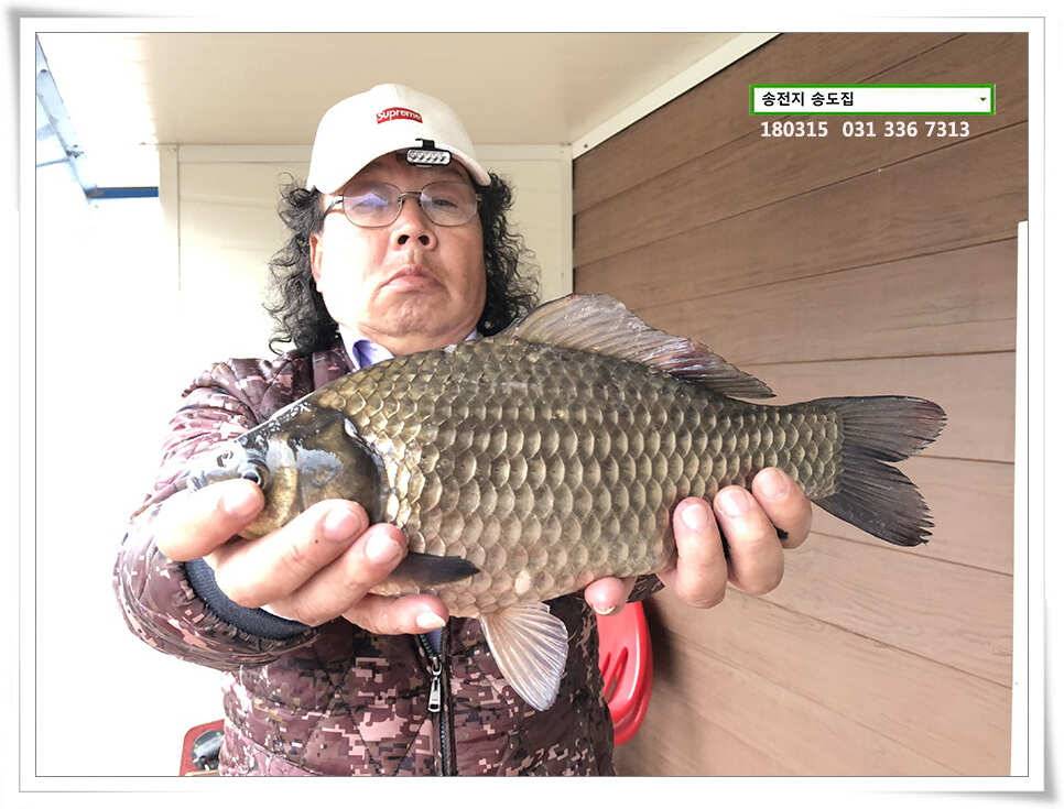 비와 대물의 이야기 송전지 송도집 좌대 조황 (유료터정보 - 유료터점주조황)