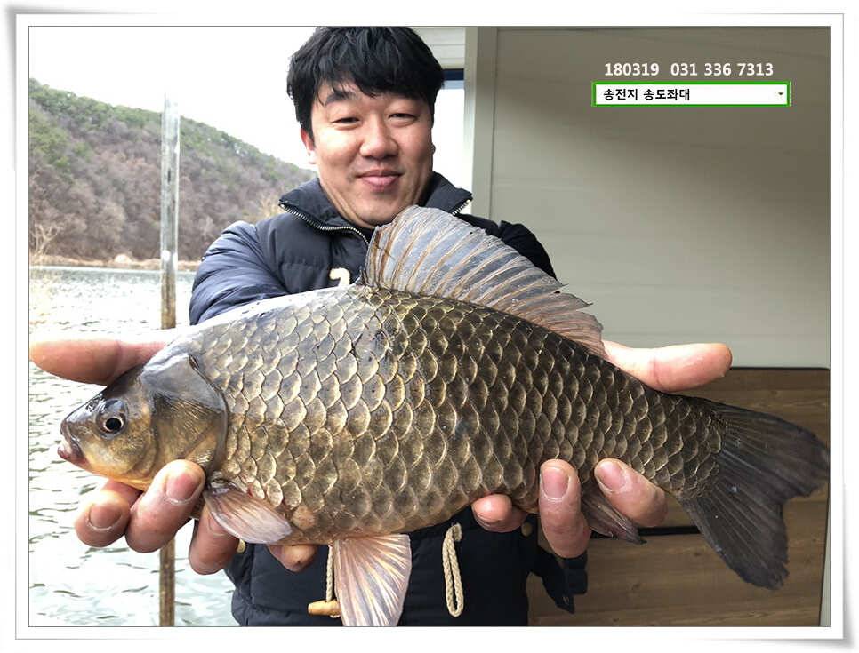 끄물끄물함에 대물 송전지 송도집 조황 (유료터정보 - 유료터점주조황)