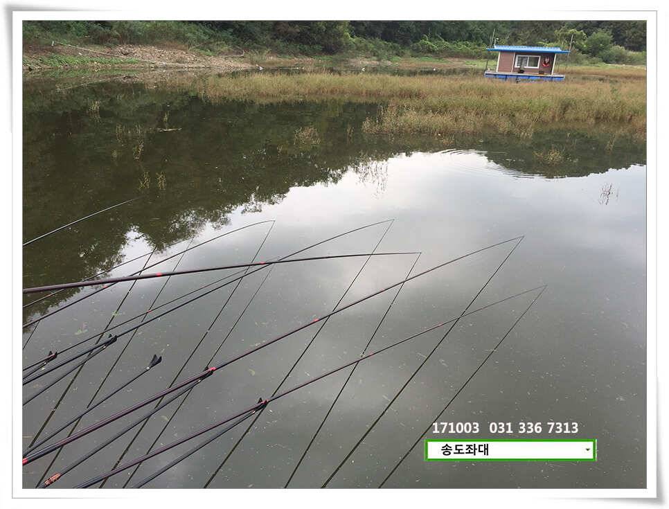 허리급 상면송전지 송도집 좌대 조황 (유료터정보 - 유료터점주조황)