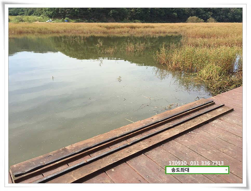 송전낚시터 송도좌대 조황 (유료터정보 - 유료터점주조황)