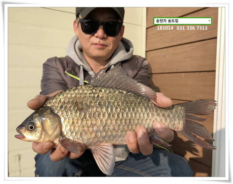 한 수 노리기 시전하는 김사장 (유료터정보 - 유료터점주조황)
