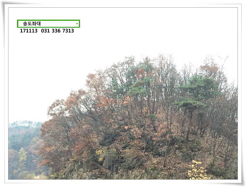 송전지 송도좌대 조황 (유료터정보 - 유료터점주조황)