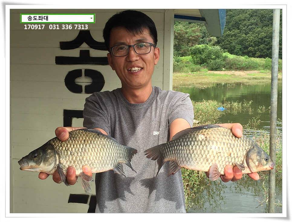 가을 분위기에송전지 송도 좌대 조황 (유료터정보 - 유료터점주조황)