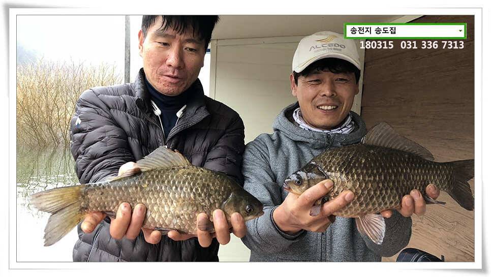 비와 대물의 이야기 송전지 송도집 좌대 조황 (유료터정보 - 유료터점주조황)