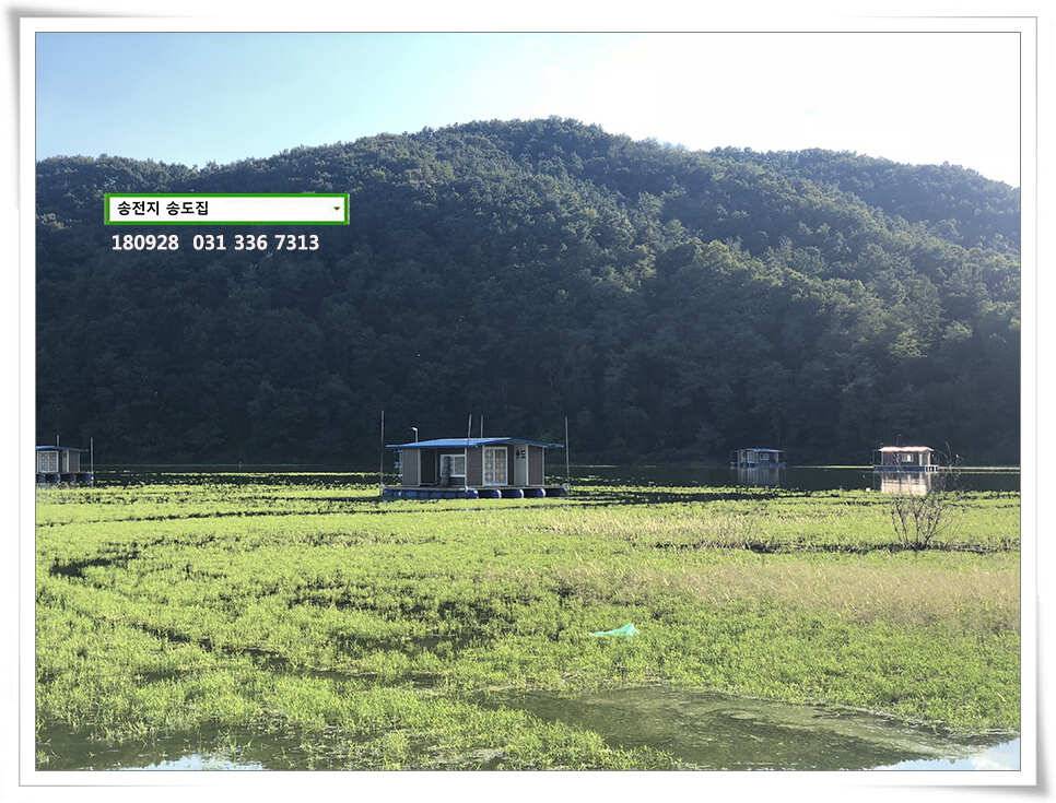 9월 마지막 주말 (유료터정보 - 유료터점주조황)