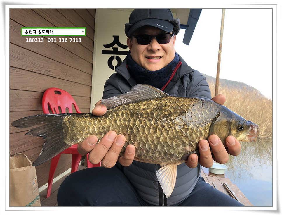 42cm 송전지 송도집 좌대 조황 (유료터정보 - 유료터점주조황)
