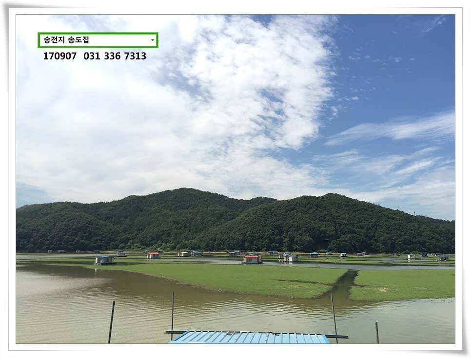 흩뿌린 비에송전지 송도좌대 조황 (유료터정보 - 유료터점주조황)