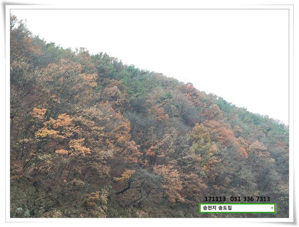 송전지 송도좌대 조황 (유료터정보 - 유료터점주조황)