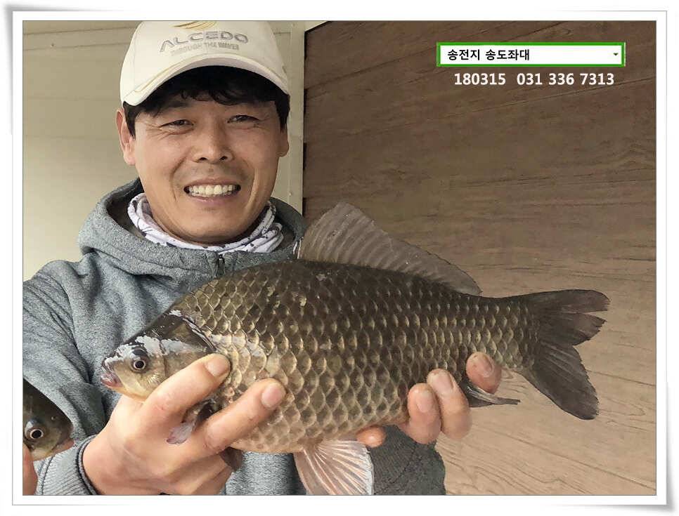 비와 대물의 이야기 송전지 송도집 좌대 조황 (유료터정보 - 유료터점주조황)
