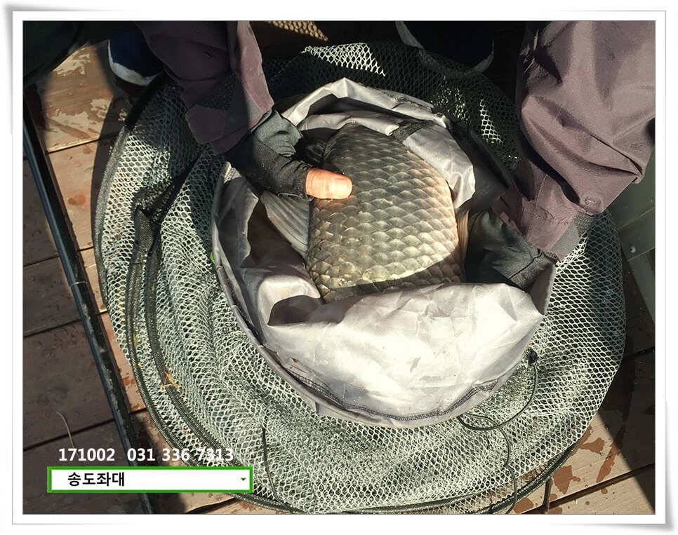 혹부리 4짜 대물시리즈송도좌대 조황 (유료터정보 - 유료터점주조황)