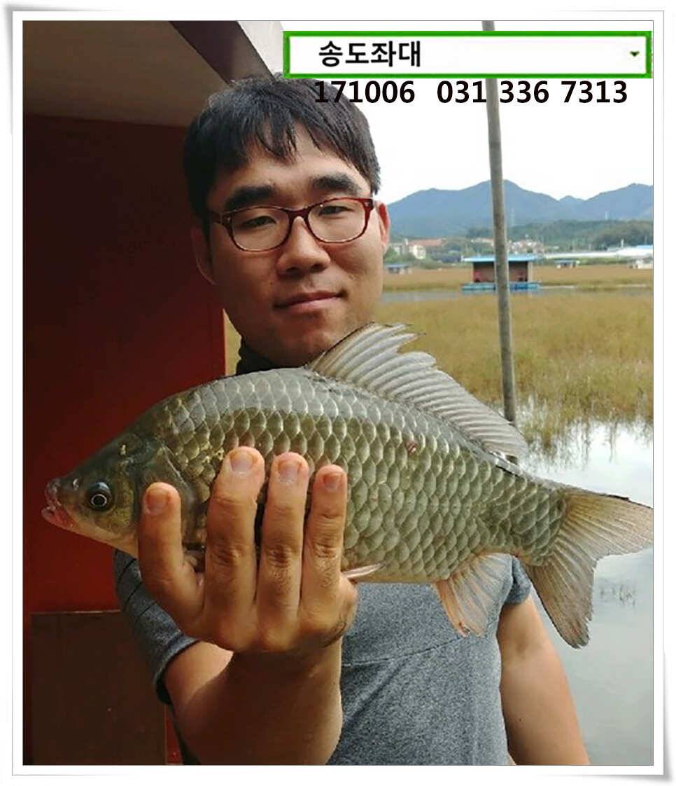 송전지 송도좌대 조황 (유료터정보 - 유료터점주조황)