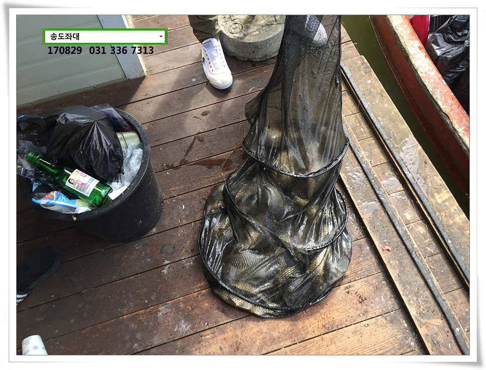 선선함 잇는송전지 송도 좌대 조황 (유료터정보 - 유료터점주조황)