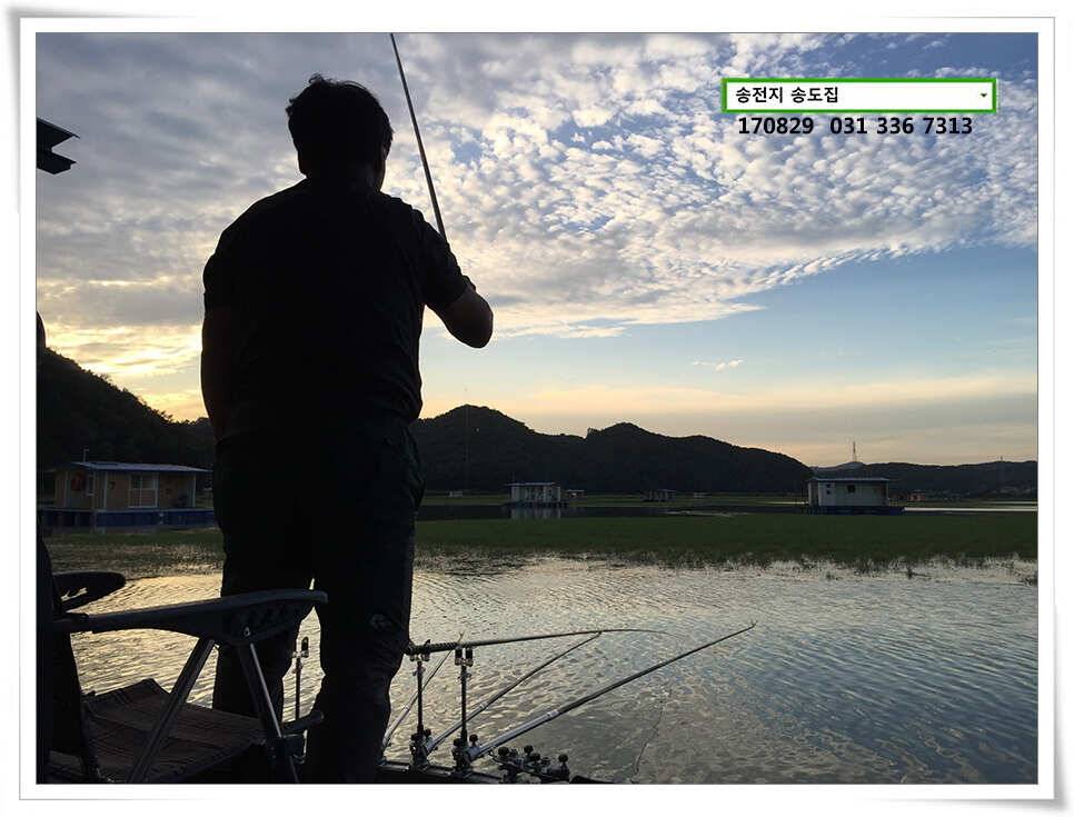 안정된 여건송전지 송도좌대 조황 (유료터정보 - 유료터점주조황)