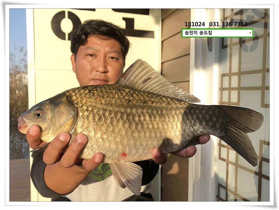 어쩌다 마주친 대물 (유료터정보 - 유료터점주조황)