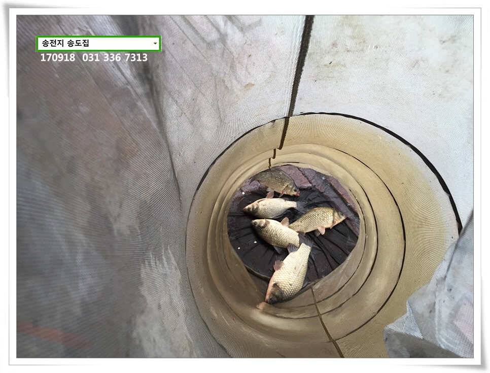 가을 분위기에송전지 송도 좌대 조황 (유료터정보 - 유료터점주조황)